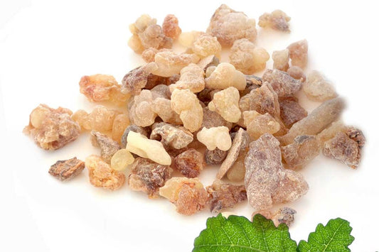 Boswellia resin photo