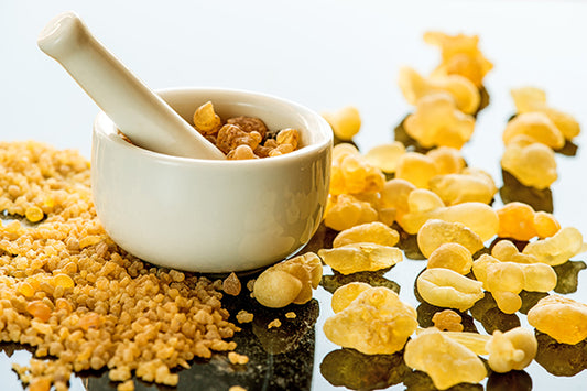 components of ginger and gingerol in mortar
