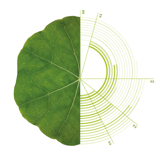 a plant naturally broken down for use in supplements